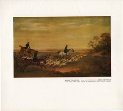Fox hunting, polo and other horse prints